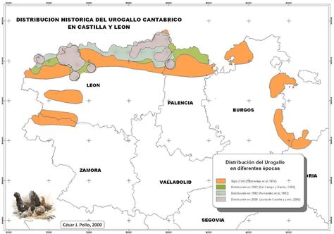 Distribución del urogallo cantábrico (Tetrao urogallus cantabricus) y ubicación del área de estudio. A) Distribución del urogallo en Europa central y suroeste (gris oscuro). B) Ubicación de los sitios de estudio (puntos rellenos) sobre un índice de idoneidad del hábitat [31]. C) Detalle del área de estudio; diferentes símbolos muestran las áreas de exhibición donde se recolectaron muestras en la primavera de 2009 en cada una de las cinco cuencas hidrográficas: Muniellos (estrellas), Hermo (triángulos), Degaña (cuadrados), Leitariegos (diamantes) y Alto Sil (puntos).