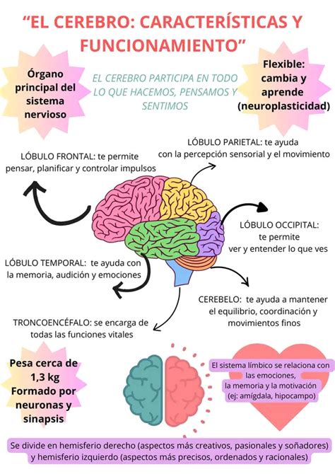 Infografía detallando los componentes de Arkoleol y sus funciones principales