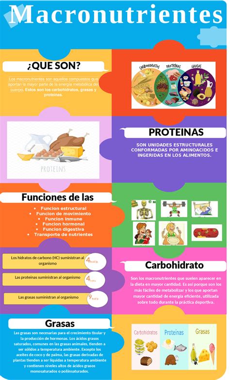 Infografía explicando los macronutrientes y su contenido calórico.