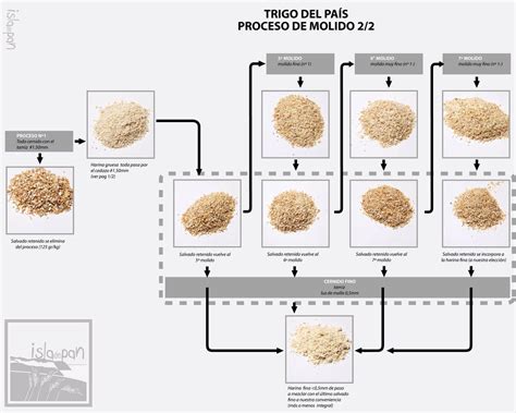 Infografía: Proceso de elaboración de la harina de coco a partir de la pulpa del coco