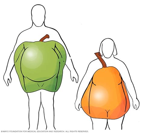 Diagrama corporal mostrando la diferencia entre cuerpos en forma de manzana y pera, y la medición de la cintura