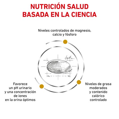 Gráfico comparativo de la composición nutricional de Urinary S/O Salsa y Urinary S/O Moderate Calorie, destacando las diferencias en contenido calórico y de proteína.