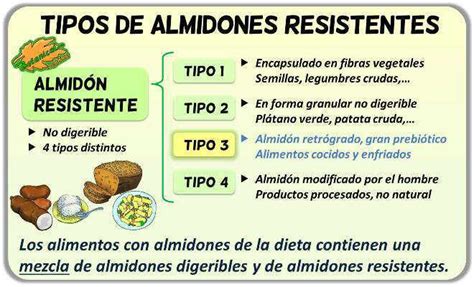 Infografía comparativa entre almidón digerible y almidón resistente