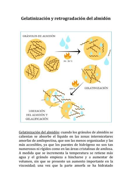 Esquema del proceso de gelatinización y retrogradación del almidón en patatas y arroz