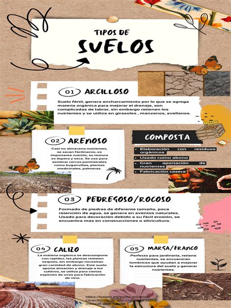 Infografía que muestra los diferentes factores que contribuyen a la celulitis
