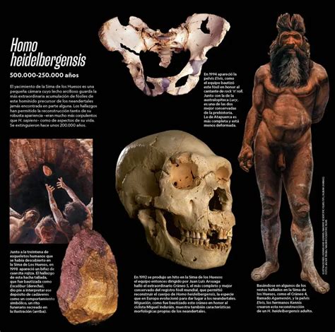 Recreación artística del Homo heidelbergensis basada en el hallazgo de la pelvis 