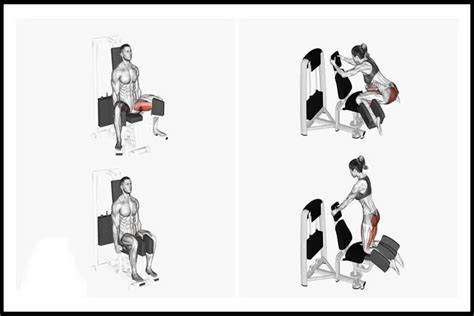 Diagrama de la máquina de aductores en un gimnasio.