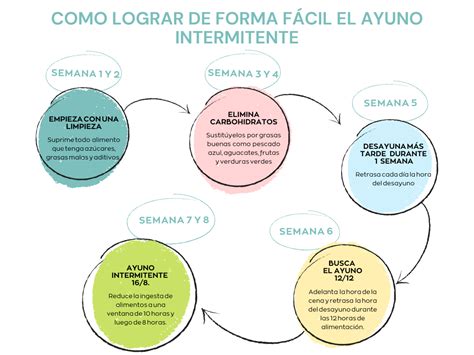 Diagrama mostrando las etapas metabólicas del ayuno intermitente