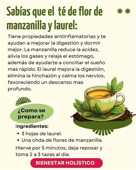Ilustración: Flores de manzanilla y hojas de laurel