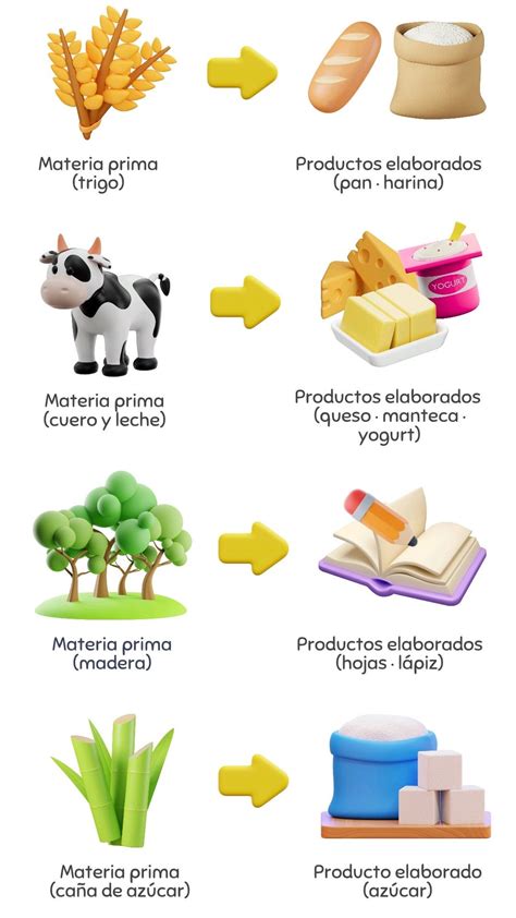 Infografía detallando los productos elaborados y comercializados por Dieta Mediterránea Aceites y Vinagres S.A.