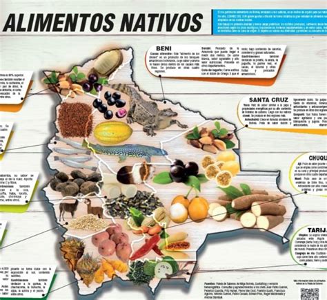 Mapa de Bolivia destacando las regiones productoras de alimentos tradicionales.