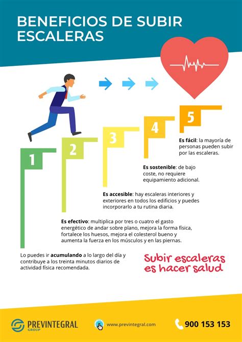 diagrama de flujo que muestra los beneficios de subir escaleras para la salud cardiovascular y la pérdida de peso