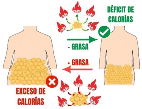 Esquema que ilustra los tres pilares de la pérdida de grasa: déficit calórico, suficiente proteína y entrenamiento de fuerza.
