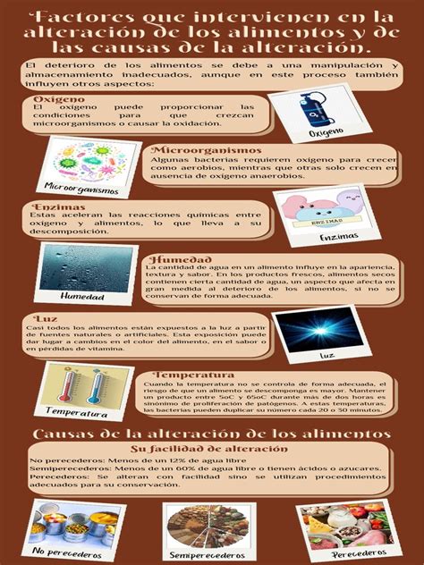 infografía sobre los factores que contribuyen al aumento de peso