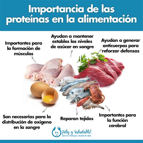 infografía sobre la importancia de las proteínas en la dieta para el control del peso