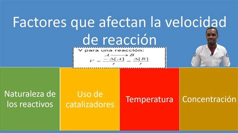 infografía mostrando los principales factores que influyen en la velocidad metabólica (edad, sexo, genética, masa muscular, actividad física).