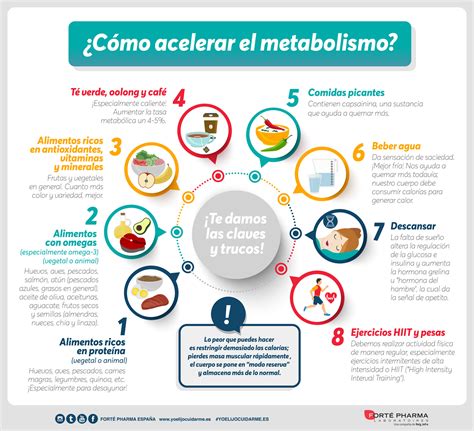infografía con las cinco estrategias clave para acelerar el metabolismo: entrenamiento de fuerza, dieta rica en proteínas, alimentos picantes, calcio y agua.