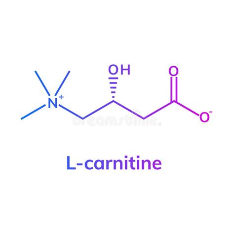 Ilustración molecular de la L-carnitina