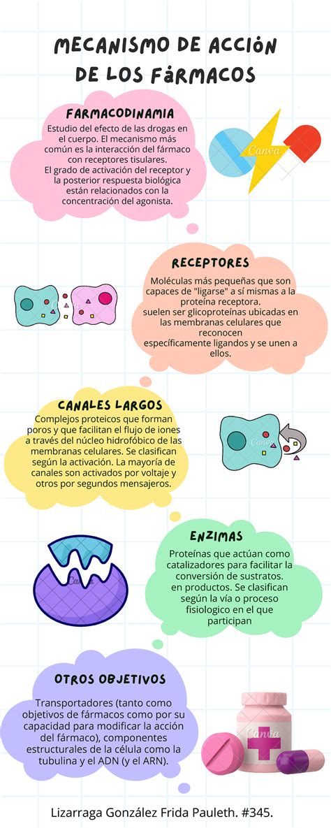 infografía sobre los mecanismos de acción de los productos saciantes