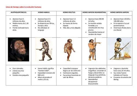 ilustración de la línea de tiempo evolutiva humana y la aparición de la agricultura