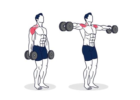 Infografía mostrando ejercicios de tren superior: elevaciones laterales, press de hombro, bíceps con mancuernas y extensiones de espalda.