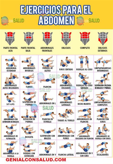 Ilustraciones o diagramas de los ejercicios abdominales mencionados.
