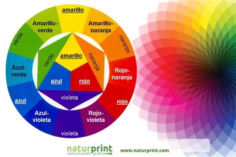 Ilustración de diversos ingredientes líquidos y cómo se pueden combinar para hacer la dieta más nutritiva.