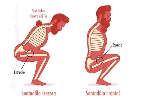 Diagrama de una sentadilla correcta, mostrando la postura de la espalda y la flexión de rodillas y cadera.