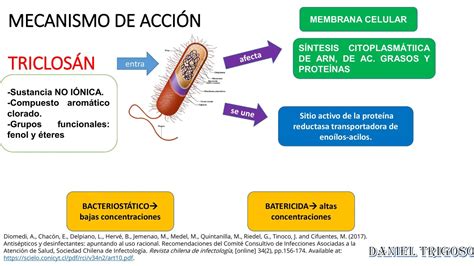 Diagrama explicando los diferentes mecanismos de acción de los suplementos quemagrasas (termogénesis, supresión del apetito, efecto diurético, lipólisis).