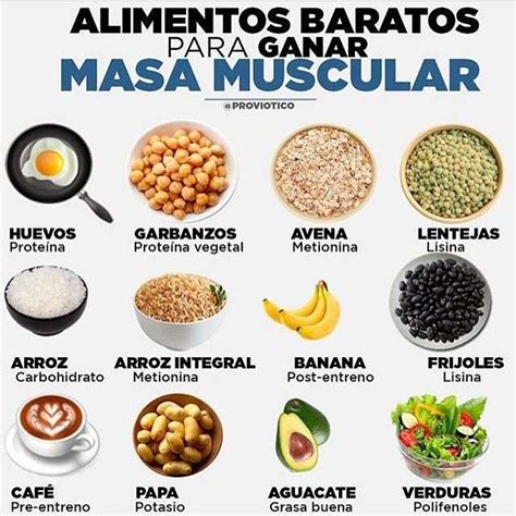 infografía con los 5 mejores carbohidratos para ganar masa muscular: plátano, patata, legumbres, frijoles, nueces