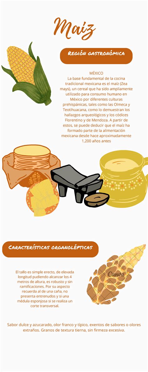 infografía comparativa de la composición nutricional del maíz cocido con otros cereales