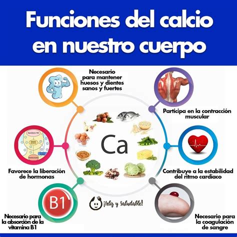 Ilustración de los principales nutrientes como calcio y potasio, y su función en el cuerpo.