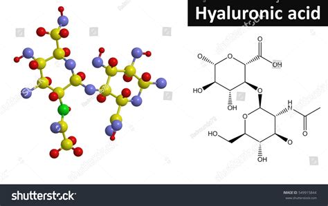ilustración de la estructura molecular del ácido hialurónico y el colágeno