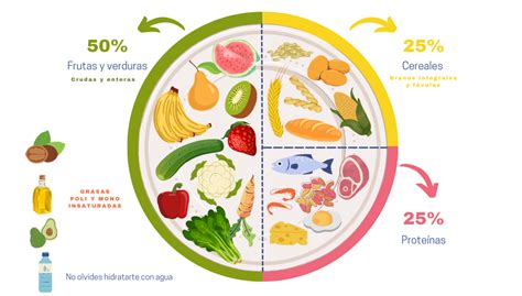 Ilustración de un plato saludable para la comida principal, mostrando las proporciones de cada grupo de alimentos