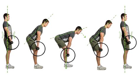 Infografía mostrando la técnica correcta para realizar sentadillas, peso muerto rumano y zancadas inversas.