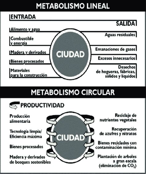 Infografía comparativa entre el metabolismo lineal de las ciudades y el metabolismo circular de la naturaleza, destacando flujos de recursos y residuos.