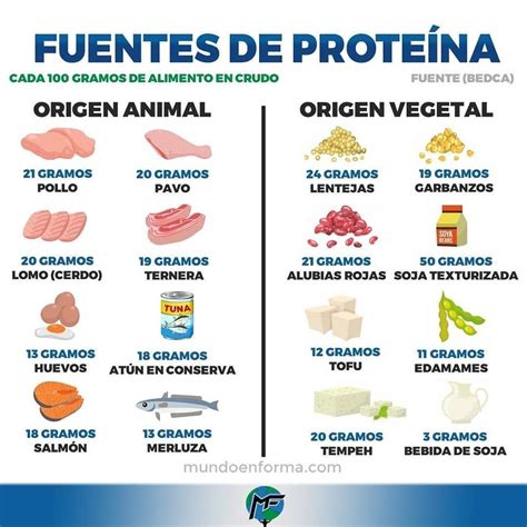 Tabla comparativa de fuentes de proteína y su impacto en la cetosis