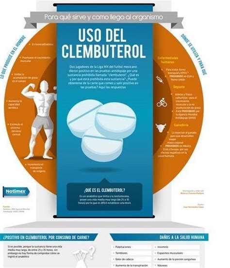 Infografía comparativa de los efectos del clembuterol en el cuerpo humano y animal