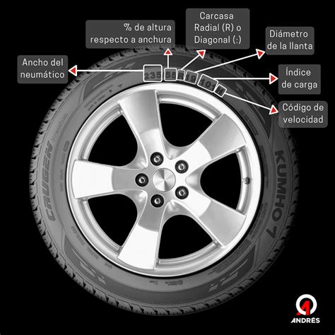 Diagrama de un neumático de coche mostrando sus componentes principales y puntos de posible fuga de aire.