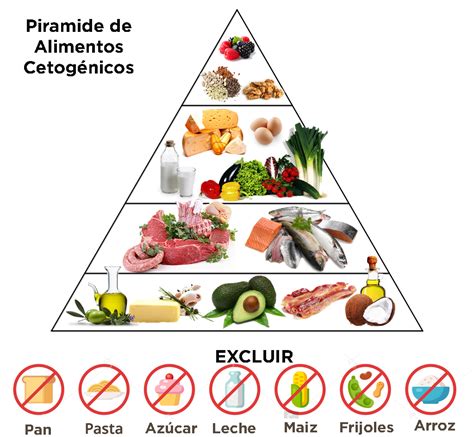 Ilustración de alimentos permitidos y restringidos en la dieta cetogénica