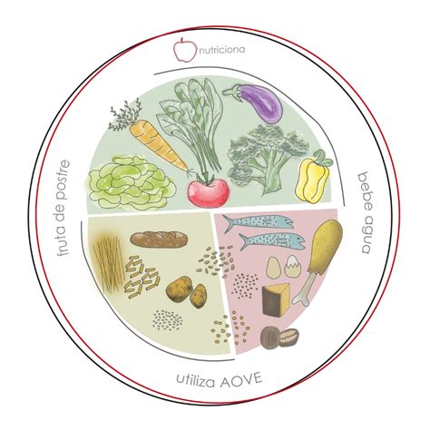 Ilustración de un plato saludable dividido en secciones: mitad verduras, un cuarto proteínas magras y un cuarto carbohidratos complejos.
