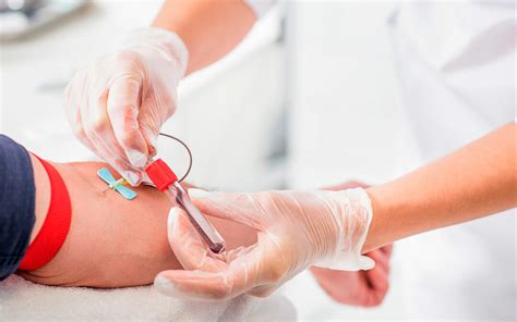 análisis de sangre para caballos