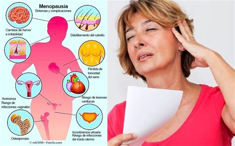 Ilustración representando los cambios hormonales y metabólicos en mujeres durante la menopausia.
