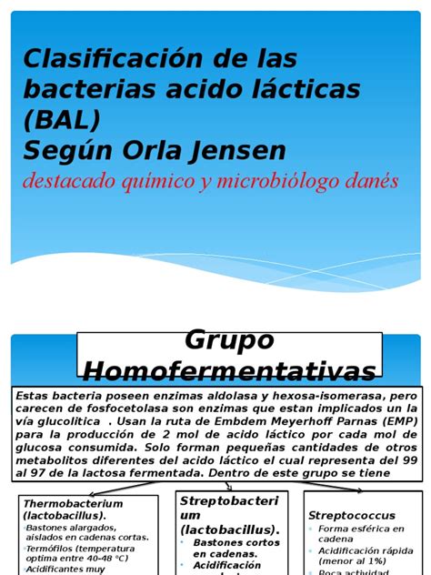 Clasificación de las bacterias ácido lácticas según su tipo de fermentación.