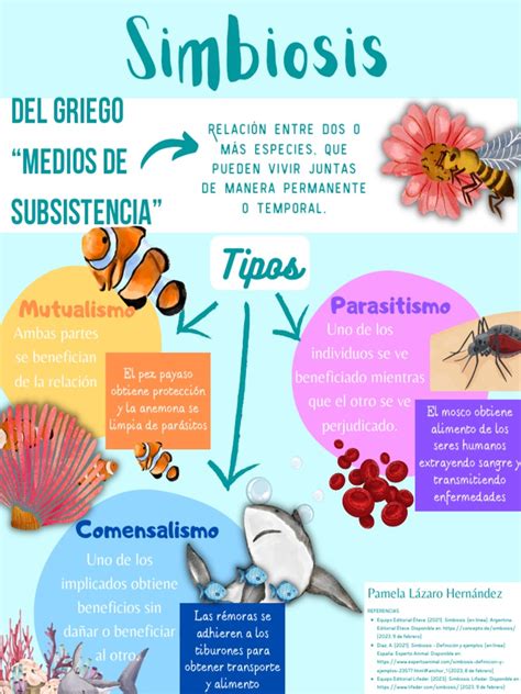 Diagrama que ilustra los diferentes tipos de interacciones microbianas (simbiosis, comensalismo, parasitismo, sintrofía).