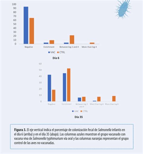 Gráfico comparativo de la prevalencia de Salmonella Infantis en pollos vacunados y no vacunados a los 6 y 35 días de vida