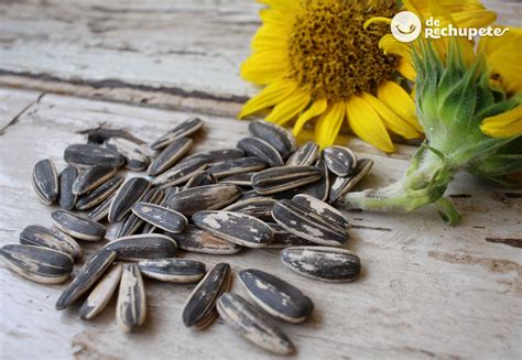 Un cuenco de pipas de girasol al natural.