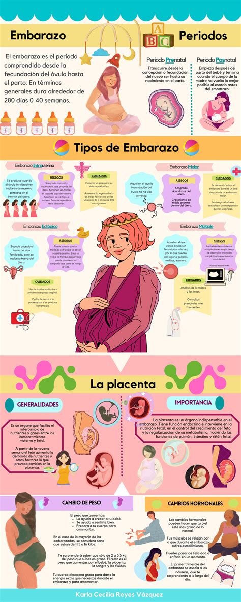 Infografía: Anatomía del abdomen durante el embarazo y posparto
