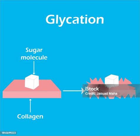 ilustración del proceso de glicación en el colágeno