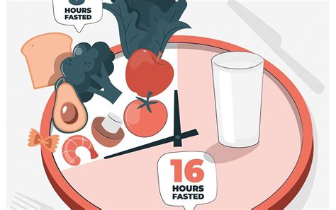 Ilustración del ciclo metabólico del ayuno intermitente, mostrando la quema de grasa.